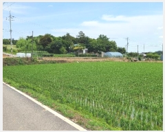  2024Ÿ55554 泲  õ ϸ 183-1      (1)