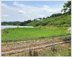  2024Ÿ55554 泲  õ ϸ 183-1      (1)