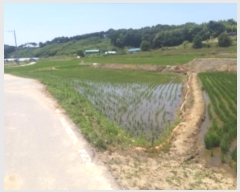  2024Ÿ55554 泲  õ ϸ 183-1      (1)