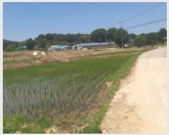  2024Ÿ55554 泲  õ ϸ 183-1      (1)