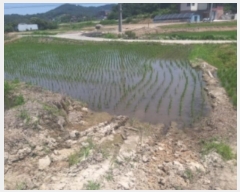  2024Ÿ55554 泲  õ ϸ 183-1      (1)