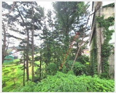  2024Ÿ��55646 �泲 �¾ȱ� ���� �ȸ��� 1722-73      ���ڽü�,����,ȣ��,�������