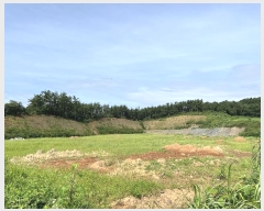  2024Ÿ56878 泲 ¾ȱ  ޻긮 533-42      (1)