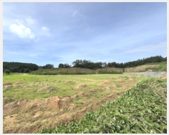  2024Ÿ56878 泲 ¾ȱ  ޻긮 533-42      (1)