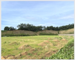  2024Ÿ56878 泲 ¾ȱ  ޻긮 533-42      (1)