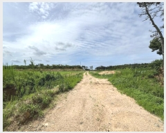  2024Ÿ56878 泲 ¾ȱ  ޻긮 533-42      (1)