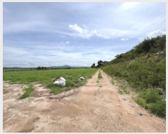  2024Ÿ56878 泲 ¾ȱ  ޻긮 533-42      (1)