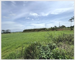  2024Ÿ56878 泲 ¾ȱ  ޻긮 533-42      (1)