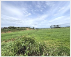  2024Ÿ56878 泲 ¾ȱ  ޻긮 533-42      (1)