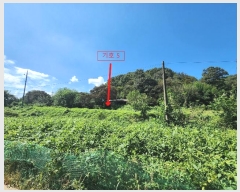  2024Ÿ��58928 �泲 ������ �۾��� ��� 5      ����(��)���