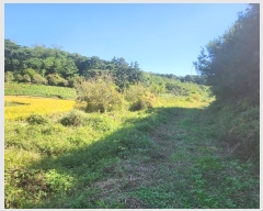  2024Ÿ��58928 �泲 ������ �۾��� ��� 5      ����(��)���