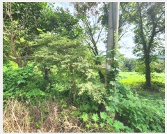  2024Ÿ��58928 �泲 ������ �۾��� ��� 5      ����(��)���