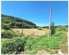  2024Ÿ��58928 �泲 ������ �۾��� ��� 5      ����(��)���