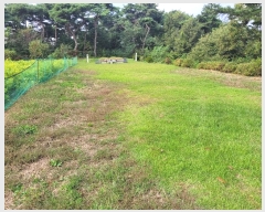  2024Ÿ59129 泲  ۻ 긮 543-2      (1)