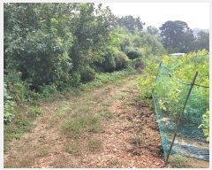  2024Ÿ59129 泲  ۻ 긮 543-2      (1)