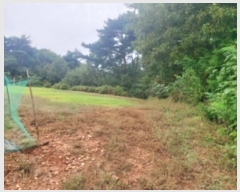  2024Ÿ59129 泲  ۻ 긮 543-2      (1)