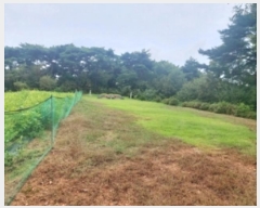  2024Ÿ59129 泲  ۻ 긮 543-2      (1)