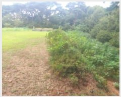  2024Ÿ59129 泲  ۻ 긮 543-2      (1)