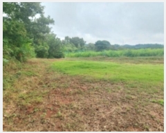  2024Ÿ59129 泲  ۻ 긮 543-2      (1)