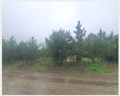  2024Ÿ59143 泲  մ 츮 188-12      (Ӿ)