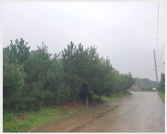  2024Ÿ59143 泲  մ 츮 188-12      (Ӿ)