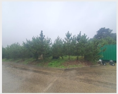  2024Ÿ59143 泲  մ 츮 188-12      (Ӿ)