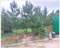  2024Ÿ59143 泲  մ 츮 188-12      (Ӿ)