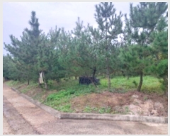  2024Ÿ59143 泲  մ 츮 188-12      (Ӿ)