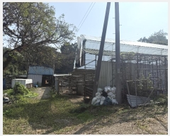  2024Ÿ59341 泲  Ⱥ и 366      (1)