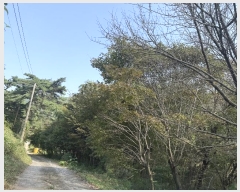  2024Ÿ59341 泲  Ⱥ и 366      (1)