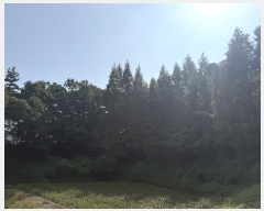  2024Ÿ59341 泲  Ⱥ и 366      (1)