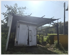  2024Ÿ59341 泲  Ⱥ и 366      (1)