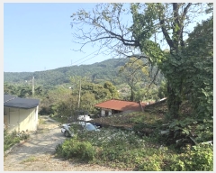  2024Ÿ59341 泲  Ⱥ и 366      (1)