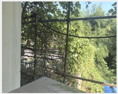  2024Ÿ59341 泲  Ⱥ и 366      (1)