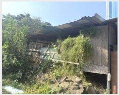  2024Ÿ59341 泲  Ⱥ и 366      (1)