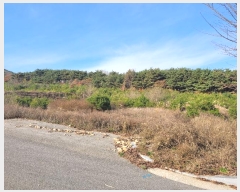  2024Ÿ��60037  �����