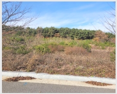  2024Ÿ��60037  �����