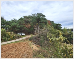  2024Ÿ��60518  �Ӿ߰��