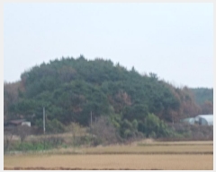  2024Ÿ��60518  �Ӿ߰��