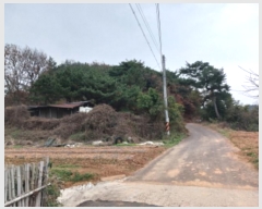  2024Ÿ��60518  �Ӿ߰��