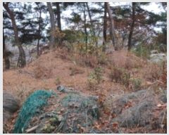  2024Ÿ��60518  �Ӿ߰��