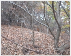  2024Ÿ��60518  �Ӿ߰��