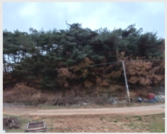  2024Ÿ��60518  �Ӿ߰��