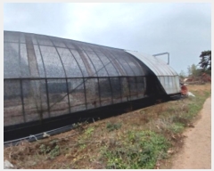  2024Ÿ��60518  �Ӿ߰��