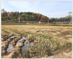  2024Ÿ60648 泲    621-8      ()