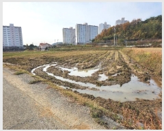  2024Ÿ60648 泲    621-8      ()