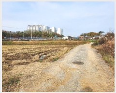  2024Ÿ60648 泲    621-8      ()