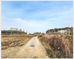  2024Ÿ60648 泲    621-8      ()