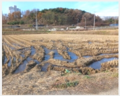  2024Ÿ60648 泲    621-8      ()