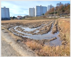  2024Ÿ60648 泲    621-8      ()